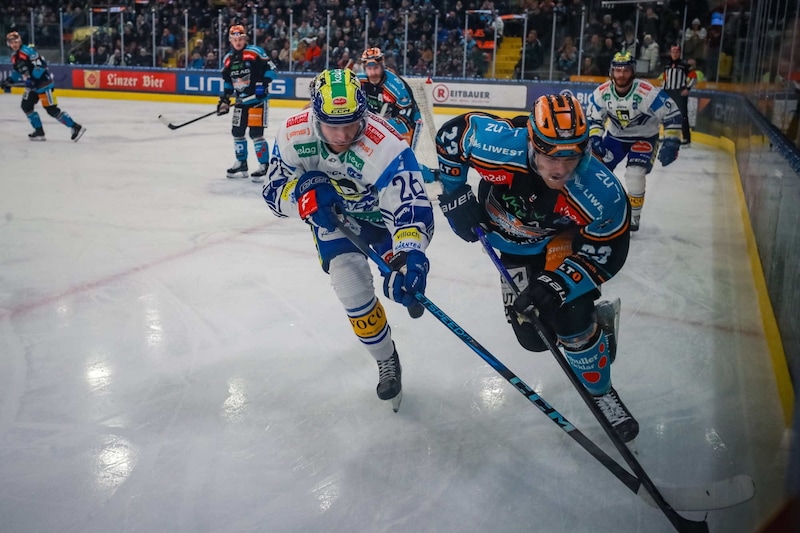 Die Black Wings siegten gegen den VSV mit 6:4. (Bild: GEPA/GEPA pictures)