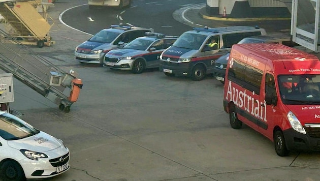 The passenger was handed over to the police in Vienna. (Bild: APA/ERNST WEISS)