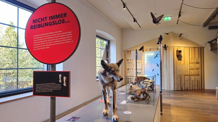 Die Ausstellung ist bis September 2025 zu sehen.