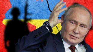 In einem offenen Brief wird für eine „Koalition der Willigen“ gegen Kremlchef Wladimir Putin getrommelt. (Bild: Krone KREATIV/stock.adobe.com/Tomas Ragina, APA/AP)