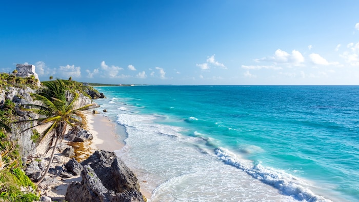 Trügerische Idylle: Mit mexikanischen Kartellen ist nicht zu spaßen, wenn es um Drogen geht.