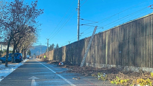 All the vegetation on the noise barriers has been removed. (Bild: zVg)