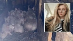 Milena wollte sich um nur die Schweine im Stall ihrer Eltern kümmern – sie überlebte die Fütterung nicht. (Bild: Telegram, east2west news)