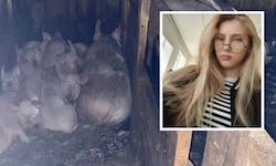 Milena wollte sich um nur die Schweine im Stall ihrer Eltern kümmern – sie überlebte die ...