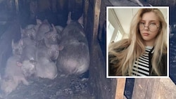 Milena wollte sich um nur die Schweine im Stall ihrer Eltern kümmern – sie überlebte die Fütterung nicht. (Bild: Telegram, east2west news)