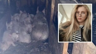 Milena wollte sich um nur die Schweine im Stall ihrer Eltern kümmern – sie überlebte die Fütterung nicht. (Bild: Telegram, Krone KREATIV)