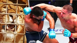 Auf Bogdan Grad (re.) wartet beim UFC-Debüt ein Löwe. (Bild: UFC, Stock Adoba, Krone KREATIV)