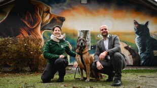 Die Welser Tierheimleiterin Barbara Ogris mit „Asto“ und Stadtrat Thomas Rammerstorfer von den ...