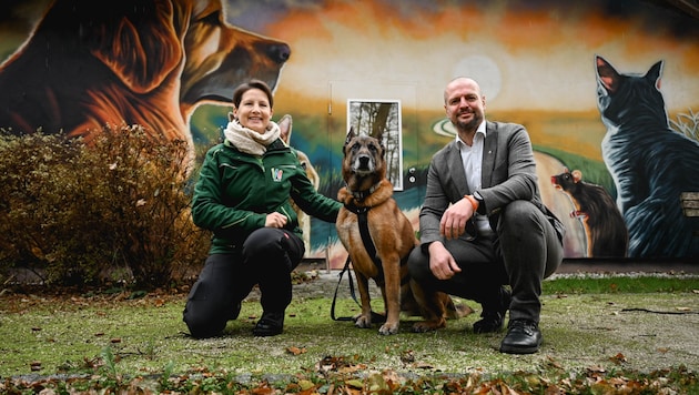 Die Welser Tierheimleiterin Barbara Ogris mit „Asto“ und Stadtrat Thomas Rammerstorfer von den Grünen. (Bild: Markus Wenzel)