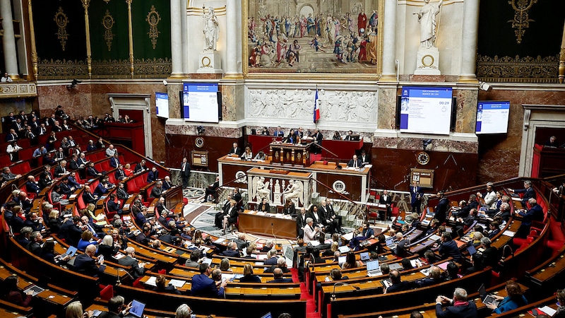 The French MPs reject the Mercosur pact in its "current form". (Bild: APA/AFP/Ian LANGSDON)