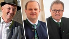 Parteifreie Ortschefs fühlen sich im Kurs bestätigt (v.li.): Ernst Fischbacher (Ramsau), Klaus Strein (Mureck) und Josef Waltl (Wies) (Bild: Krone KREATIV/Gemeinde Wies, Barbara Winkler, Strein)