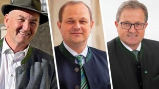 Parteifreie Ortschefs fühlen sich im Kurs bestätigt (v.li.): Ernst Fischbacher (Ramsau), Klaus Strein (Mureck) und Josef Waltl (Wies) (Bild: Krone KREATIV/Gemeinde Wies, Barbara Winkler, Strein)