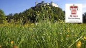 Auch der Krauthügel im Salzburger Nonntal blieb dank „Krone“-Initiative von Baggern verschont.
