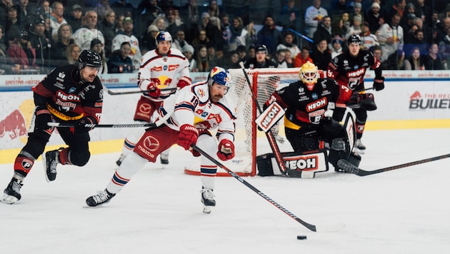 Daheim gegen Vorarlberg setzten sich die Eisbullen um Andrew Rowe und Peter Hochkofler (dahinter) klar durch. (Bild: 2024 EC Red Bull Salzburg)