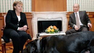 2007 wurden Fotos von Angela Merkel und Wladimir Putin mit dessen Hund berühmt. (Bild: DMITRY ASTAKHOV / ITAR-TASS / AFP)