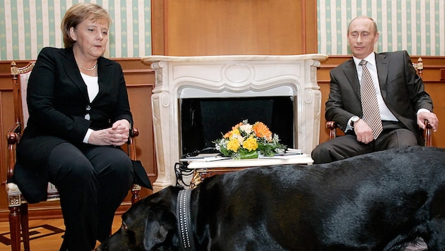 In 2007, photos of Angela Merkel and Vladimir Putin with his dog became famous. (Bild: DMITRY ASTAKHOV / ITAR-TASS / AFP)