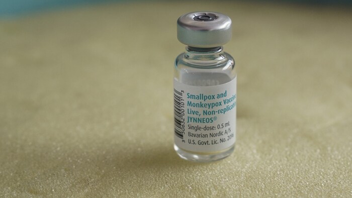 Die vorhandenen Impfstoffe gegen Mpox (im Bild eine Ampulle des Vakzins) sind bisher nicht für ...