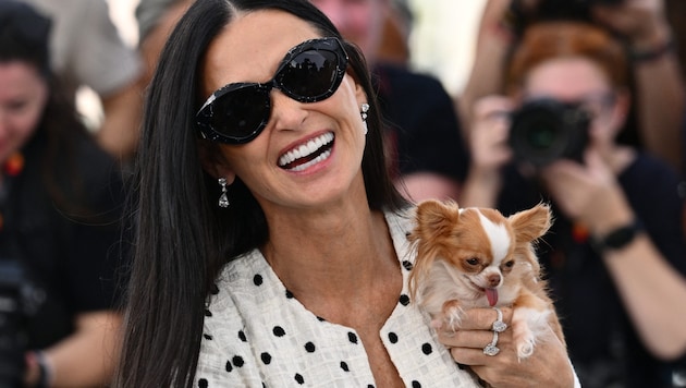 Demi Moore mit ihrem Chihuahua „Pilaf“ in Cannes (Bild: APA/AFP/CHRISTOPHE SIMON)