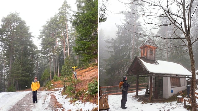 Auf einem breiten Fahrweg (offizieller Winterwanderweg) verläuft unsere Rundwanderung meist durch den lichten Wald. Rechts die idyllische Häuslkapelle. (Bild: Peter Freiberger)