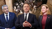 Die „Krone“ appelliert an die Politik: im Tierschutz müssen noch viele Probleme gelöst werden. ...