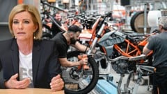 Mehr als 3600 Mitarbeiter sind in den drei in die Insolvenz geschlitterten Firmen des Motorradherstellers tätig. Wie viele Beschäftigte KTM im Sanierungsverfahren verlassen müssen, ist noch offen. Das AMS – hier Iris Schmidt – rüstet sich. (Bild: Krone KREATIV/Markus Wenzel (2))