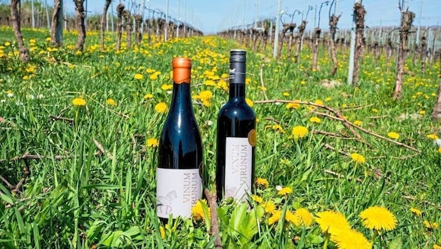 40 percent of the wine is high-quality red wine!