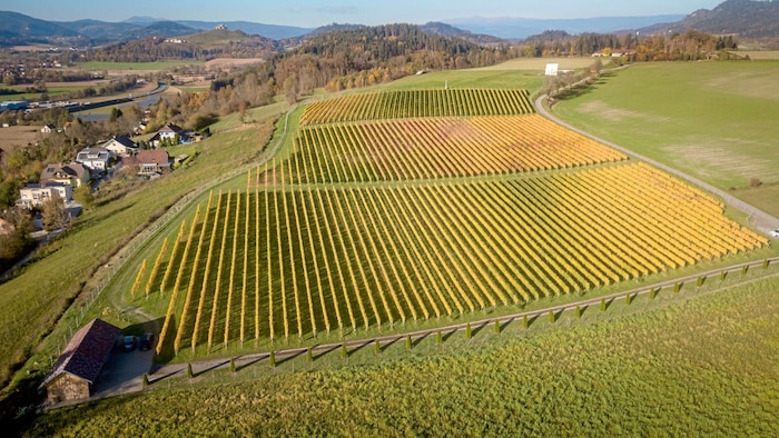 Wo früher die Römer lebten, ist heute das Weingut „Vinum Virunum“ in St. Donat mit dem Blick ...