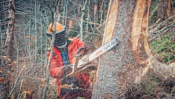 Zu krank fürs Büro, aber nicht für den Wald? (SYMBOLBILD)