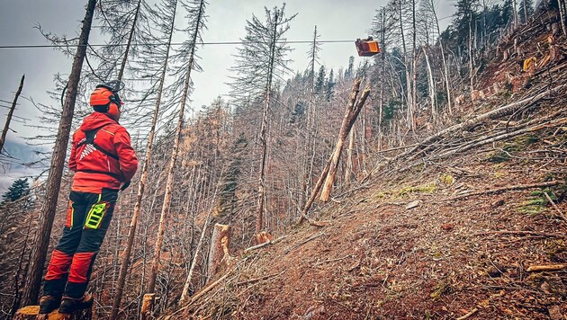 Forestry work in extreme terrain - in nature it is even steeper than here in the photo. (Bild: Wallner Hannes)