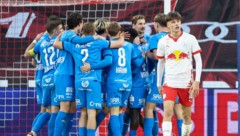 Amstetten siegte 3:1, Jungbulle Jano konnte es nicht fassen. (Bild: GEPA pictures/David Geieregger)