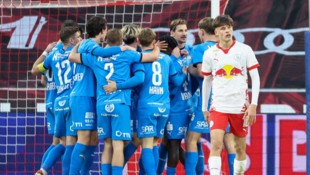 Amstetten siegte 3:1, Jungbulle Jano konnte es nicht fassen.
