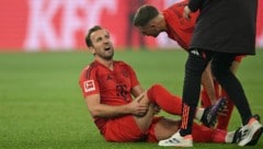 Harry Kane musste gegen Dortmund verletzt ausgewechselt werden. (Bild: APA/AFP/INA FASSBENDER)