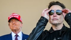 Donald Trump und X-CEO Elon Musk sind neue beste Freunde, lagen sich rechtlich aber bislang noch im Clinch. (Bild: APA/Getty Images via AFP/GETTY IMAGES/Brandon Bell)