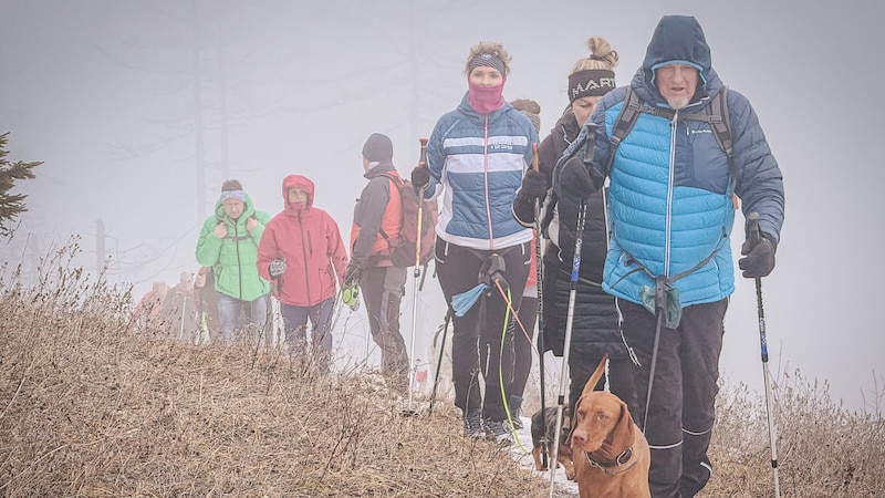 Only a few meters to the summit. (Bild: Wallner Hannes)