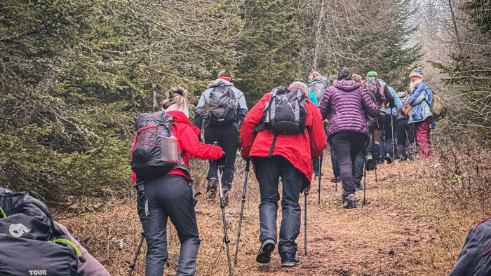 Gemeinsam oder alleine. Bei den Adventwanderungen bestimmt jeder sein Tempo selbst.