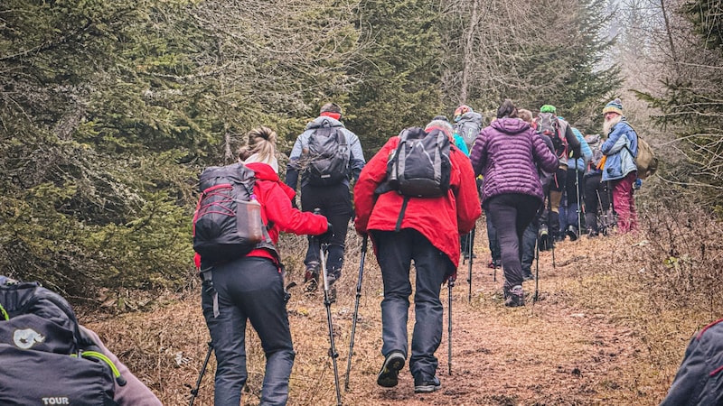 Together or alone. Everyone sets their own pace on the Advent hikes. (Bild: Wallner Hannes)