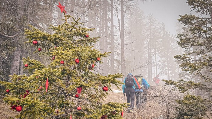 Ein geschmückter Christbaum sorgte beim Aufstieg für lächelnde Gesichter.
