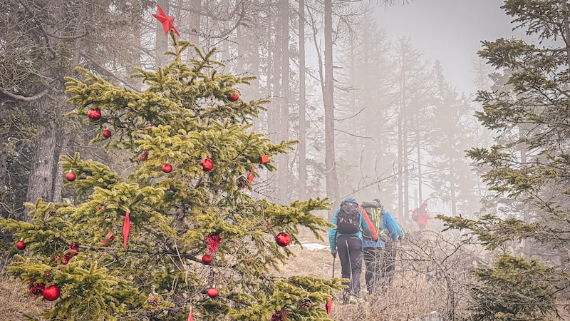 A decorated Christmas tree made for smiling faces on the ascent. (Bild: Wallner Hannes)