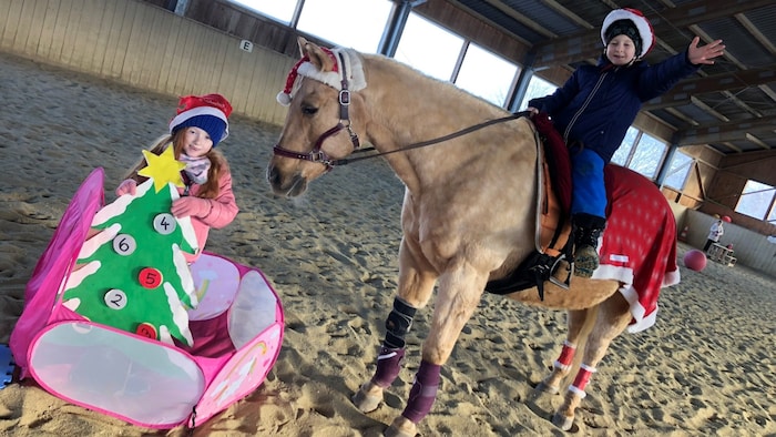 Die Stute liebt Kinder und lässt sich geduldig von ihnen reiten und führen
