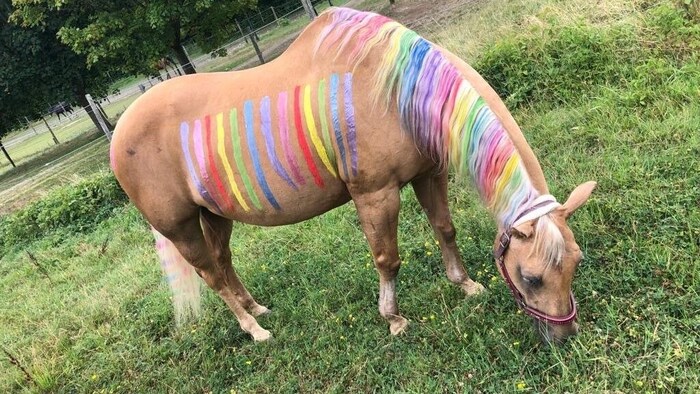„Nanine“ lässt sich von Kindern verkleiden und bemalen und spielt mit ihnen sogar Verstecken.