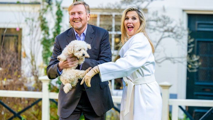 „Mambo“ mischte das royale Shooting der niederländischen Königsfamilie auf.