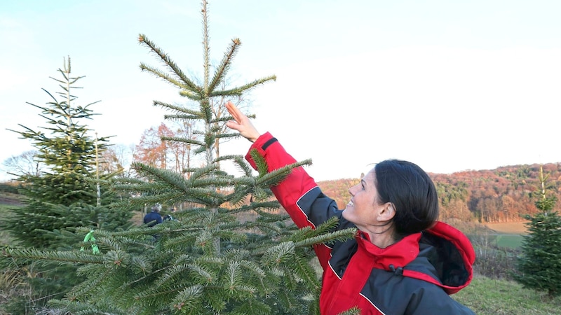 Martina Lienhart in ihrer Plantage (Bild: Radspieler Jürgen/Krone)