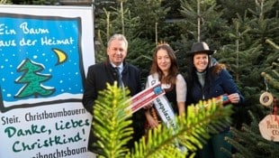 Der Christbaum startet wieder in die Hochsaison! Martina Lienhart (re.), Obfrau der Christbaumbauern, mit der Christbaumprinzessin Martina im feschen Christbaumdirndl und Kammerpräsident Franz Titschenbacher (Bild: Jauschowetz Christian)