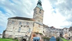 Stiftungsadministrator Michael Gerbavsits freut sich über eine erfolgreiche Saison.