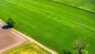 Die im Ried verlaufenden Gräben wurden schon vielen Autofahrern zum Verhängnis. (Bild: Stiplovsek Dietmar)