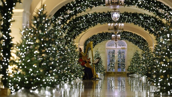 38 Christbäume wurden aufgestellt.