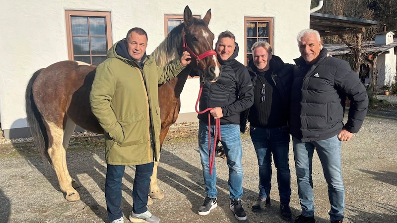 ... Franz Weber, Pferdenarr Andreas Herzog, Andi Ogris und Leopold Rotter auf der Hacienda del Piero in Poppendorf. (Bild: Moizi Peter)