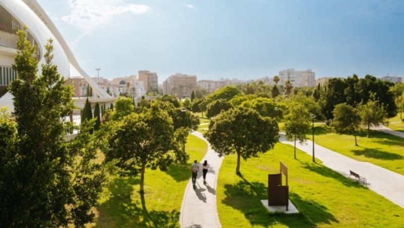 The Turia Gardens are an impressive area in Valencia. (Bild: davidrota.com)