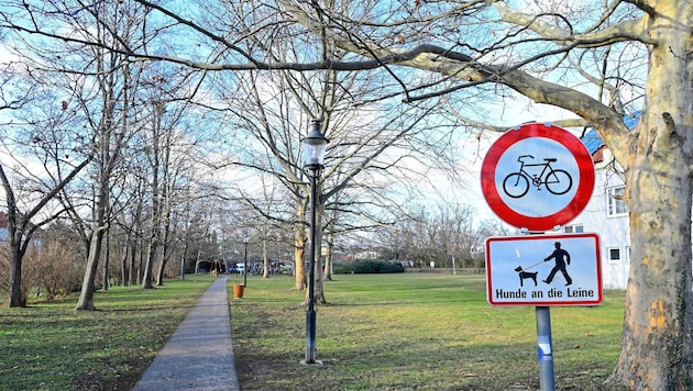 The castle park in Vösendorf was rewired. Improperly, as it is now said. (Bild: P. Huber)