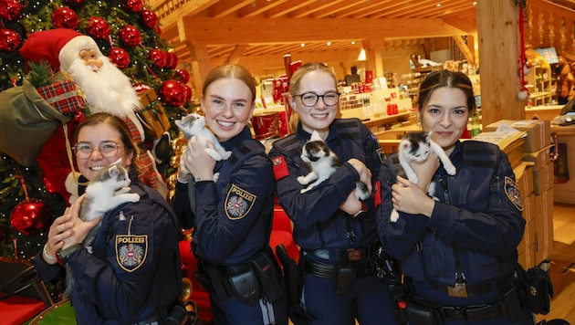 Die frisch ausgebildeten Polizistinnen Therese Pultz, Anna Schaidreiter, Marie Reingruber und Nadja Prommegger bewiesen bei der Feierstunde auf Gut Aiderbichl auch Tierliebe. (Bild: Tschepp Markus)